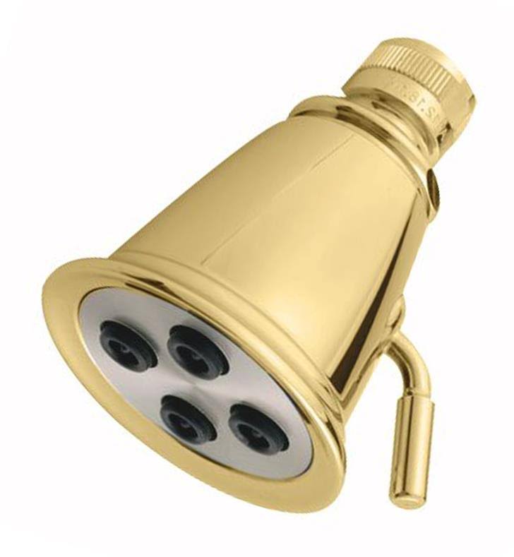 2.5 inch 4-Jet Showerhead D4986