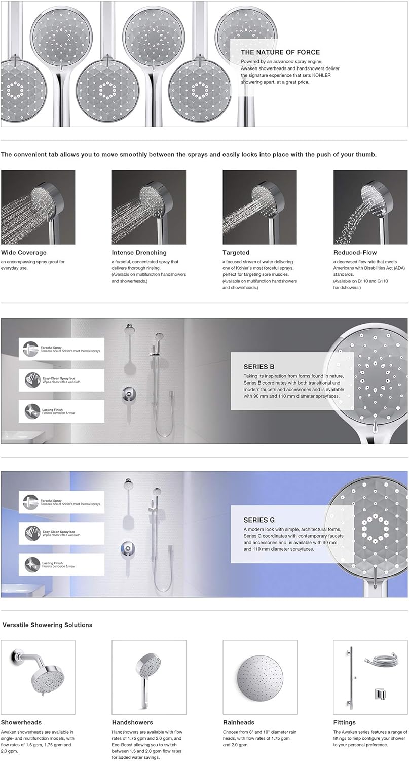 Matte Black Showerhead Pack of 2 R72554