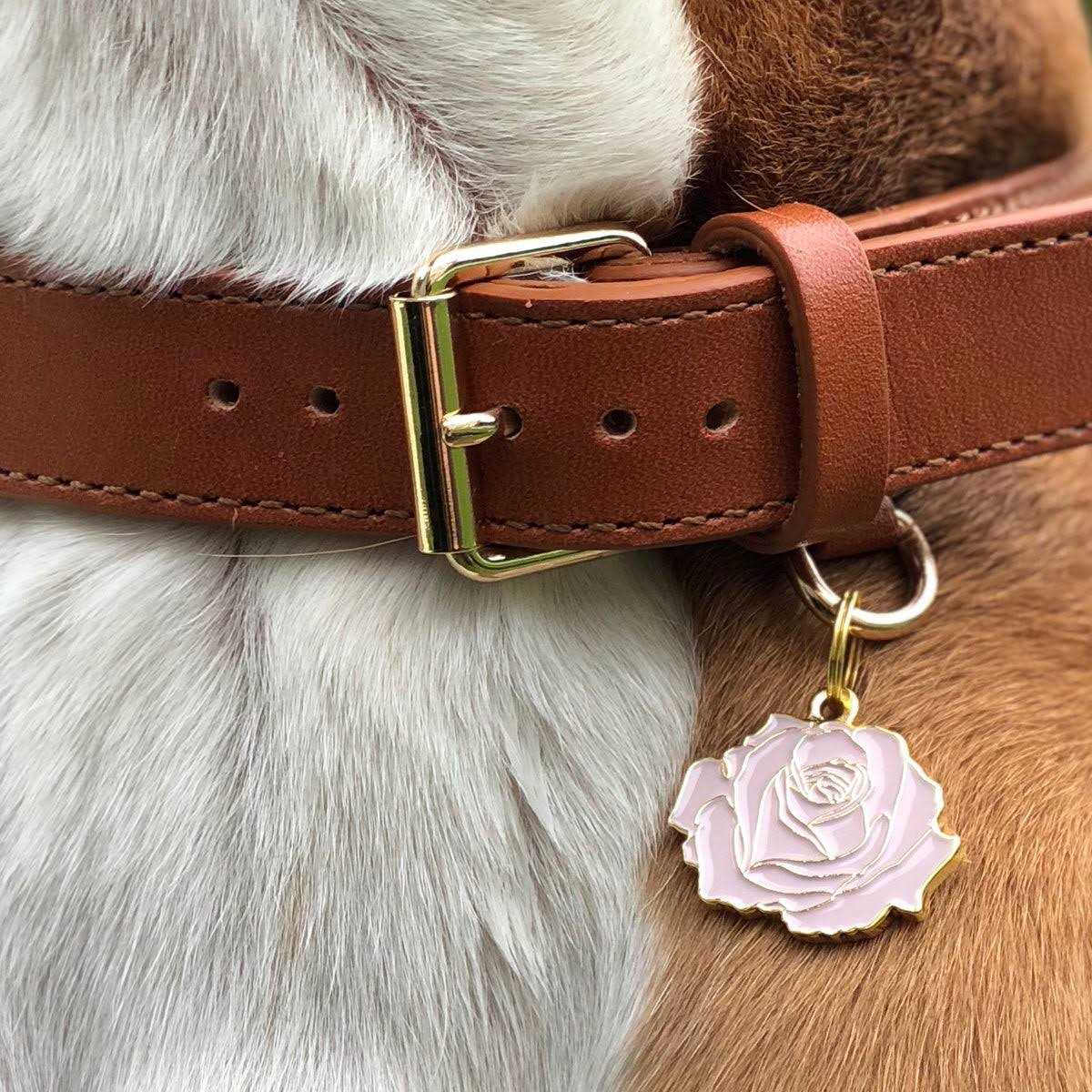 Rose Pet P484