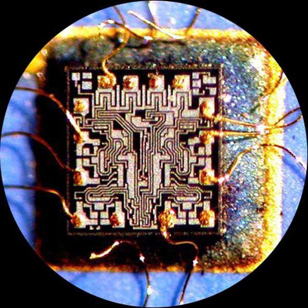 7X-45X Simul-Focal Stereo Zoom Microscope on Boom Stand with Fluorescent Light and 5MP USB3 Camera I8106