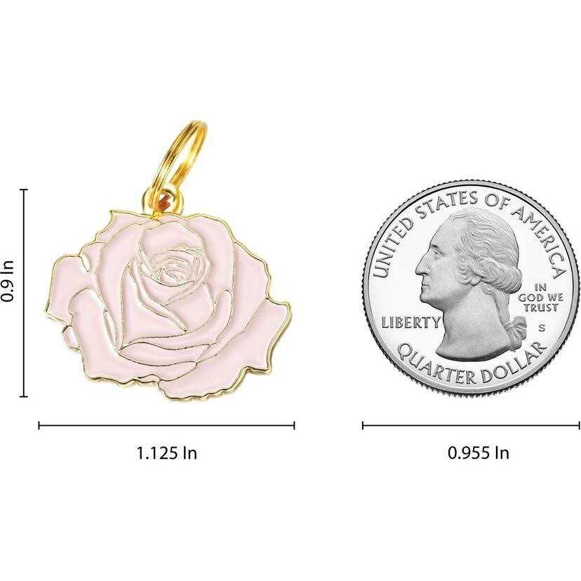 Rose Pet P484