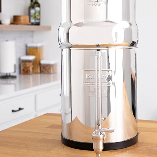 Gravity-Fed Water Filter System N3742