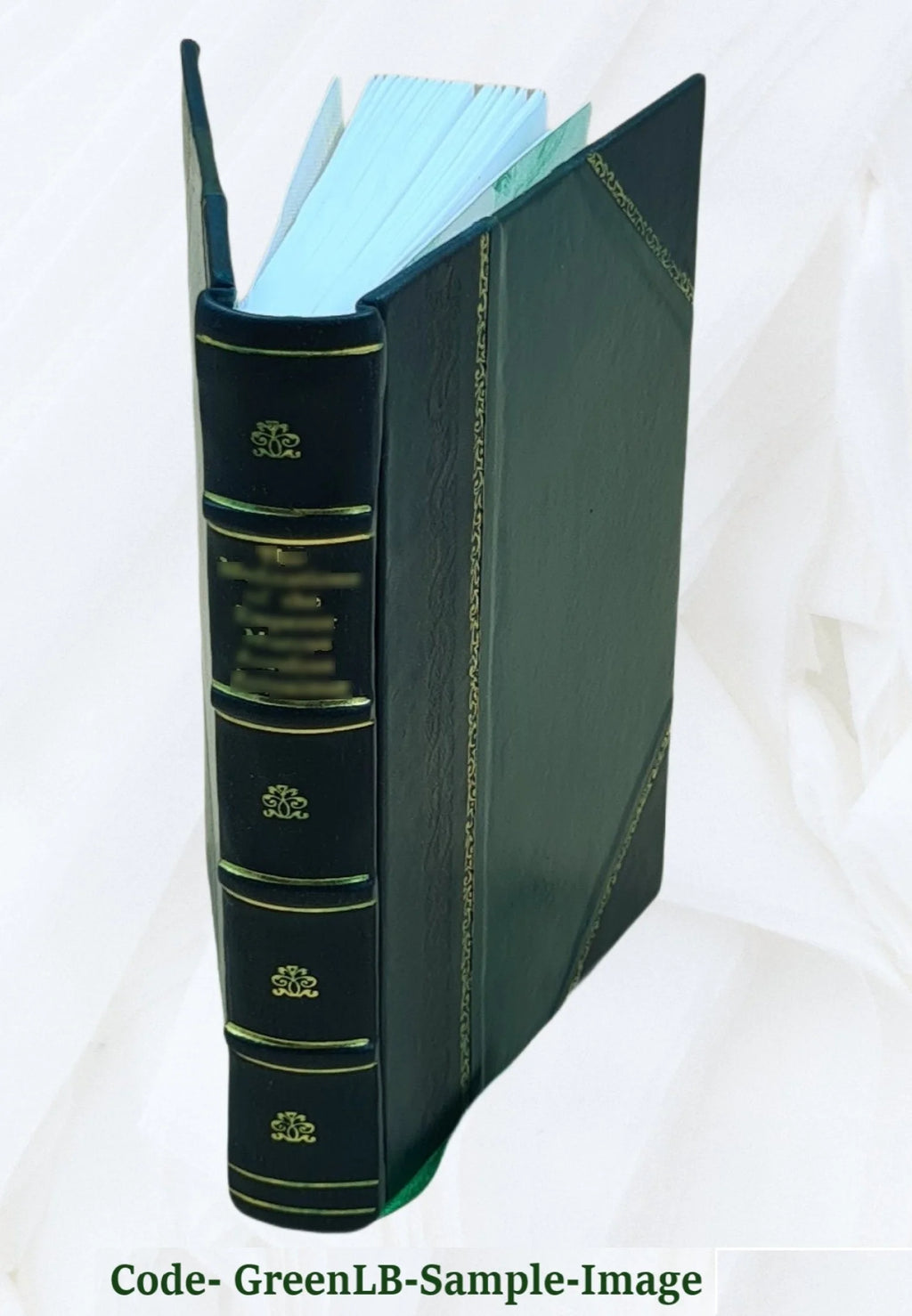 Leather Bound Book J447