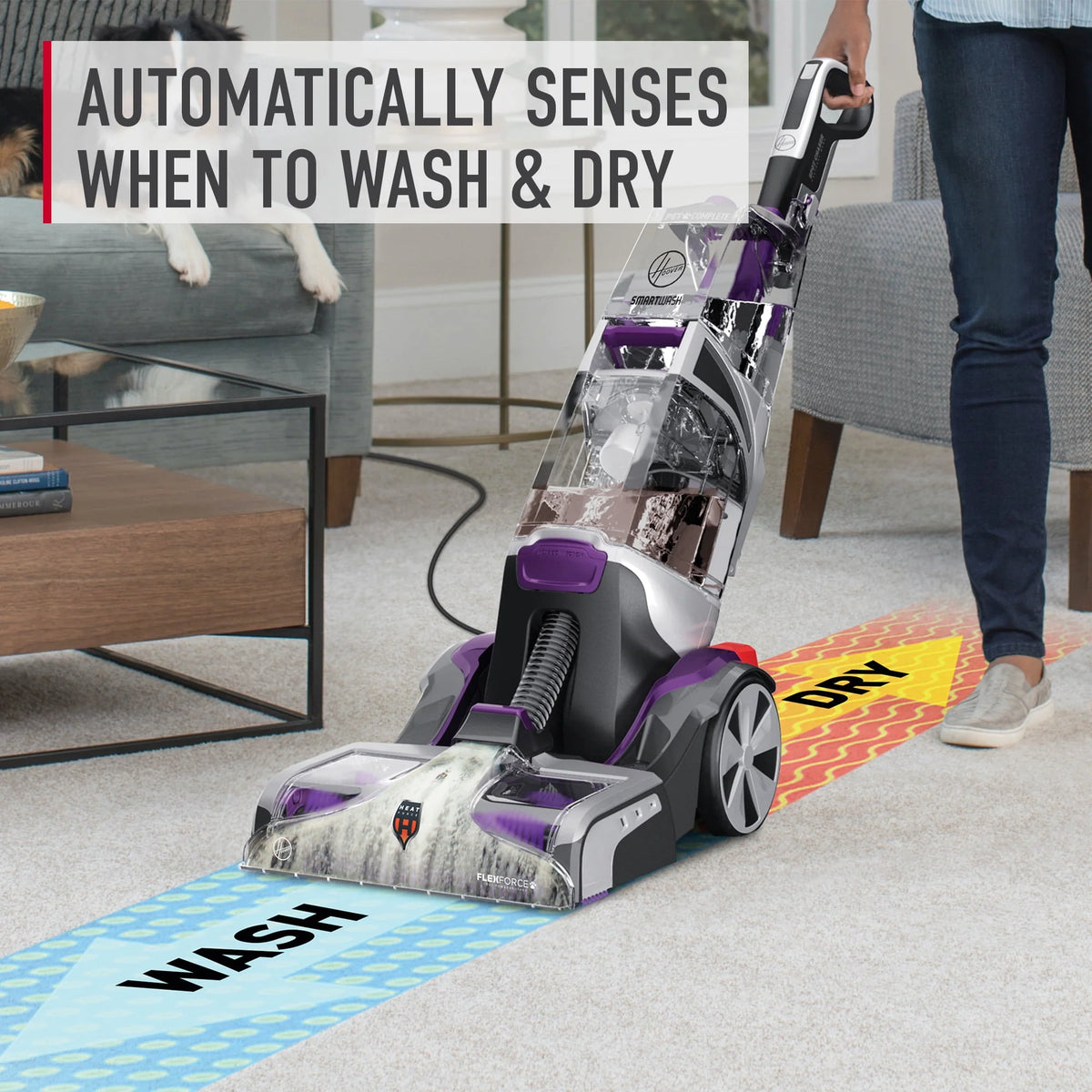 Automatic Upright Carpet Washer M77803