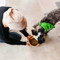 Vegan Dry Dog Food P687191