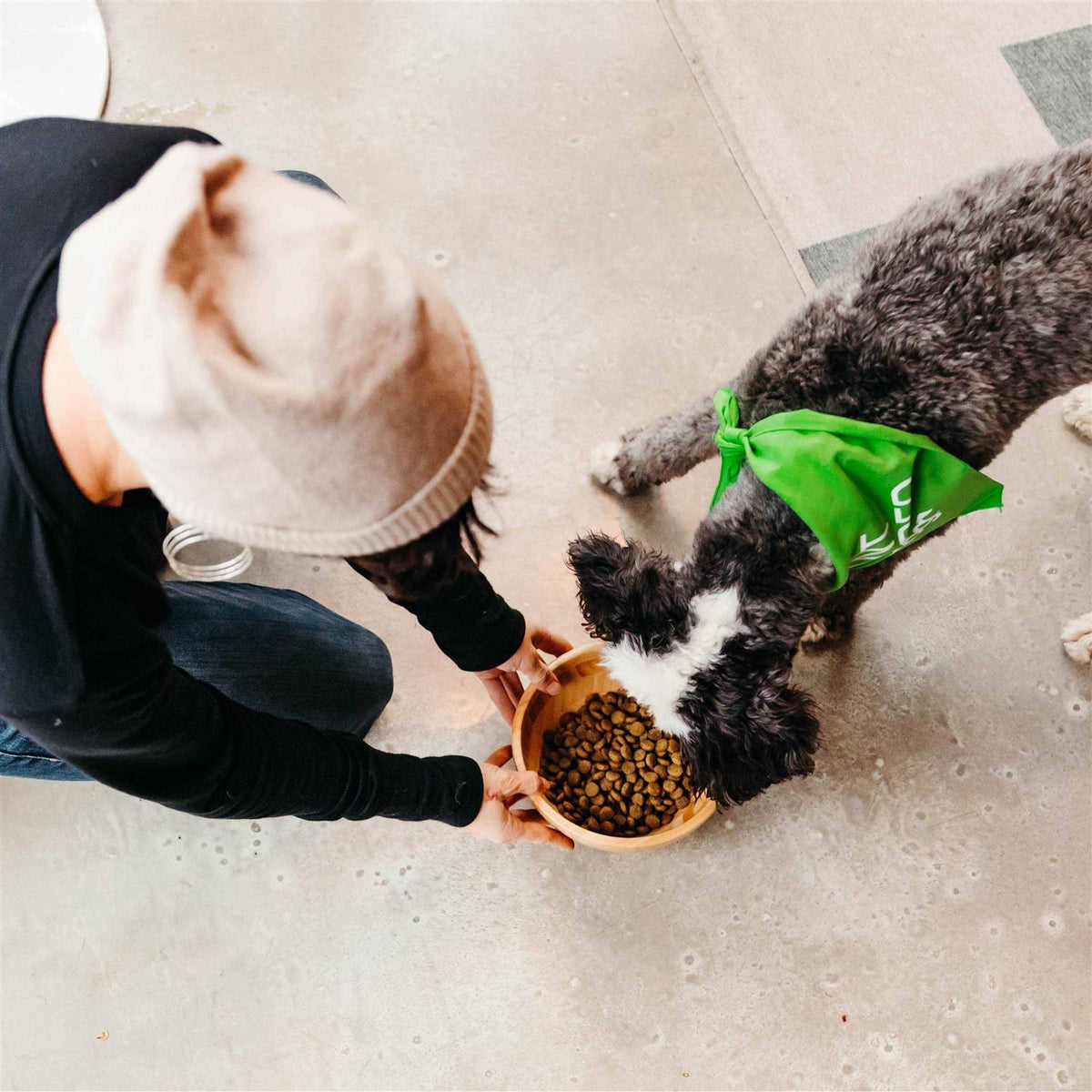 Vegan Dry Dog Food P687191