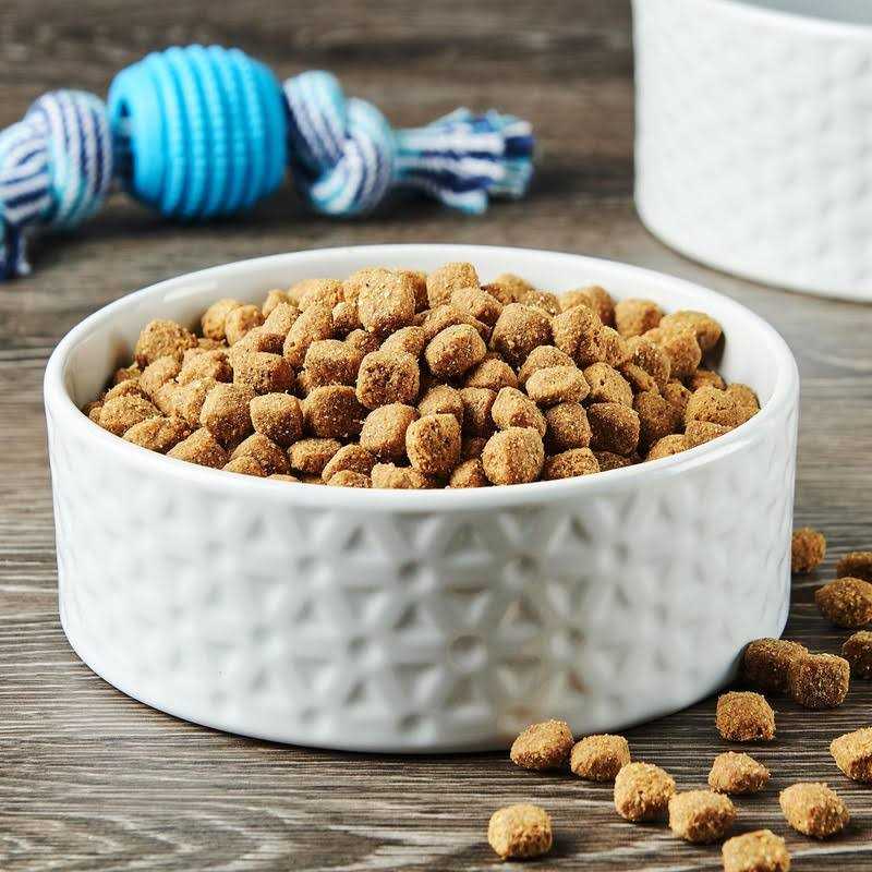 Dry Dog Food U494963