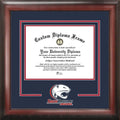 Diploma Frame T104659