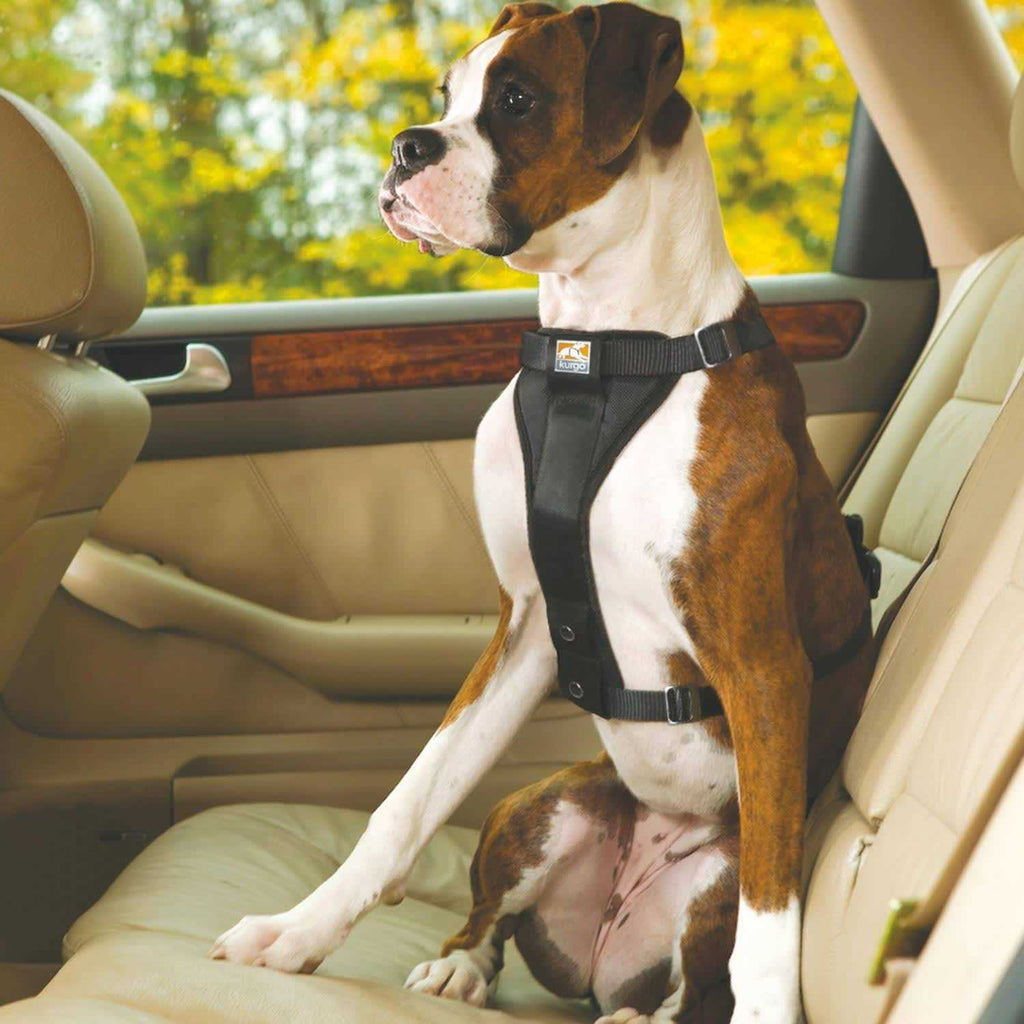 Pet Harness W20501