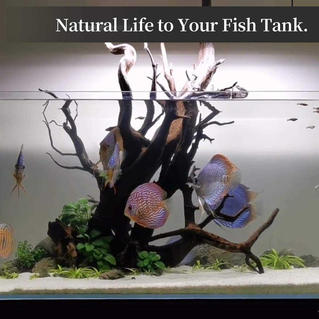 Natural Large Driftwood Aquarium Decor J2335