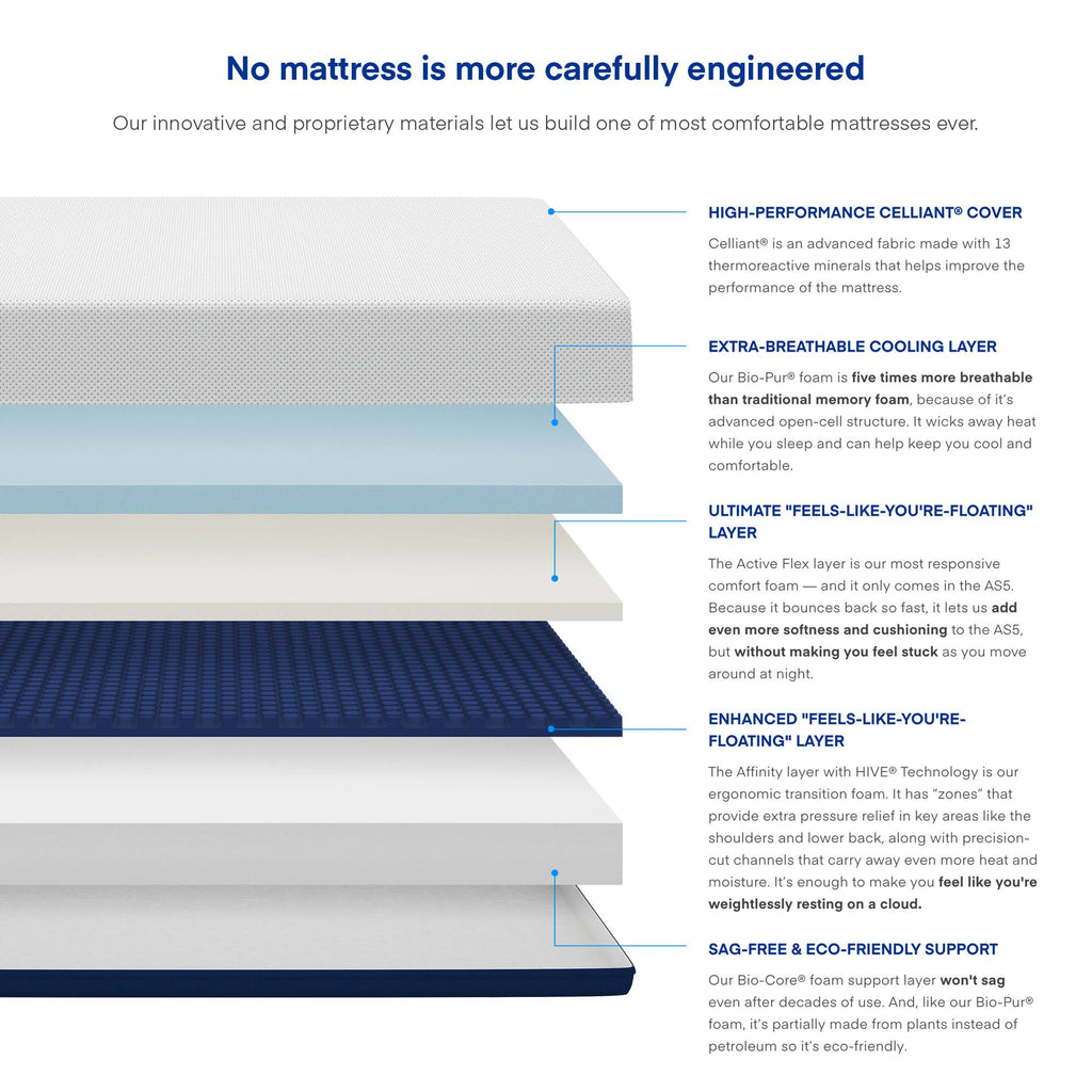 Queen Size Plush Foam Mattress B28305