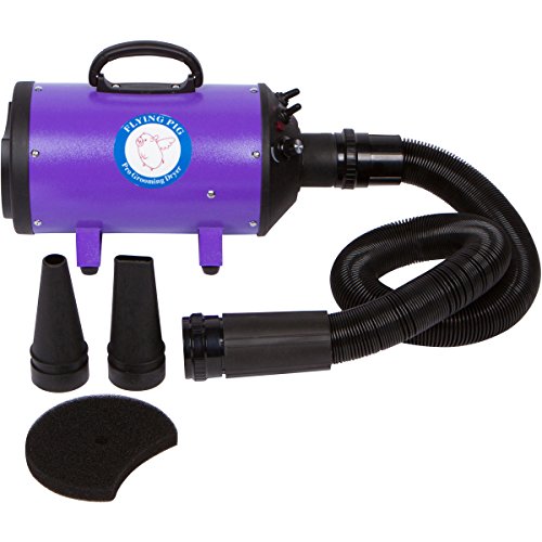Purple High Velocity Pet Grooming Dryer with Heater D238775