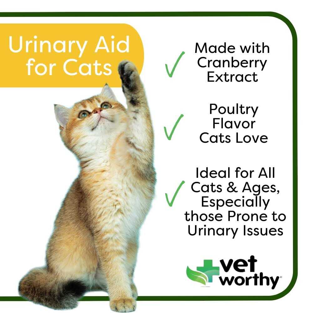 Urinary Aid Soft Chews for Cats X878857