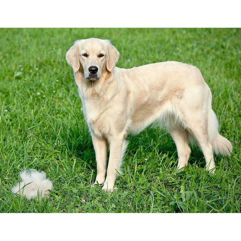 Dog Deshedding Dematting Brush Comb A74512