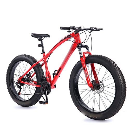 Electric Mountain Bike with Fat Tire G86955