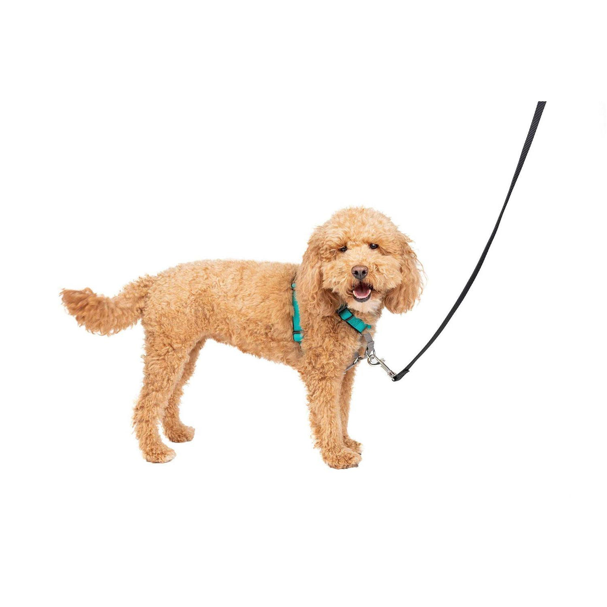 3 in 1 Harness J2099