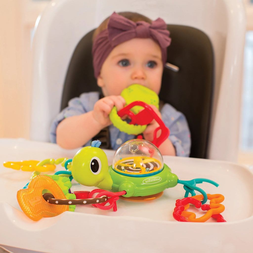 Suction Cup Turtle A600563