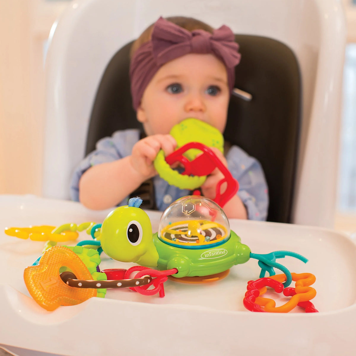 Suction Cup Turtle A600563
