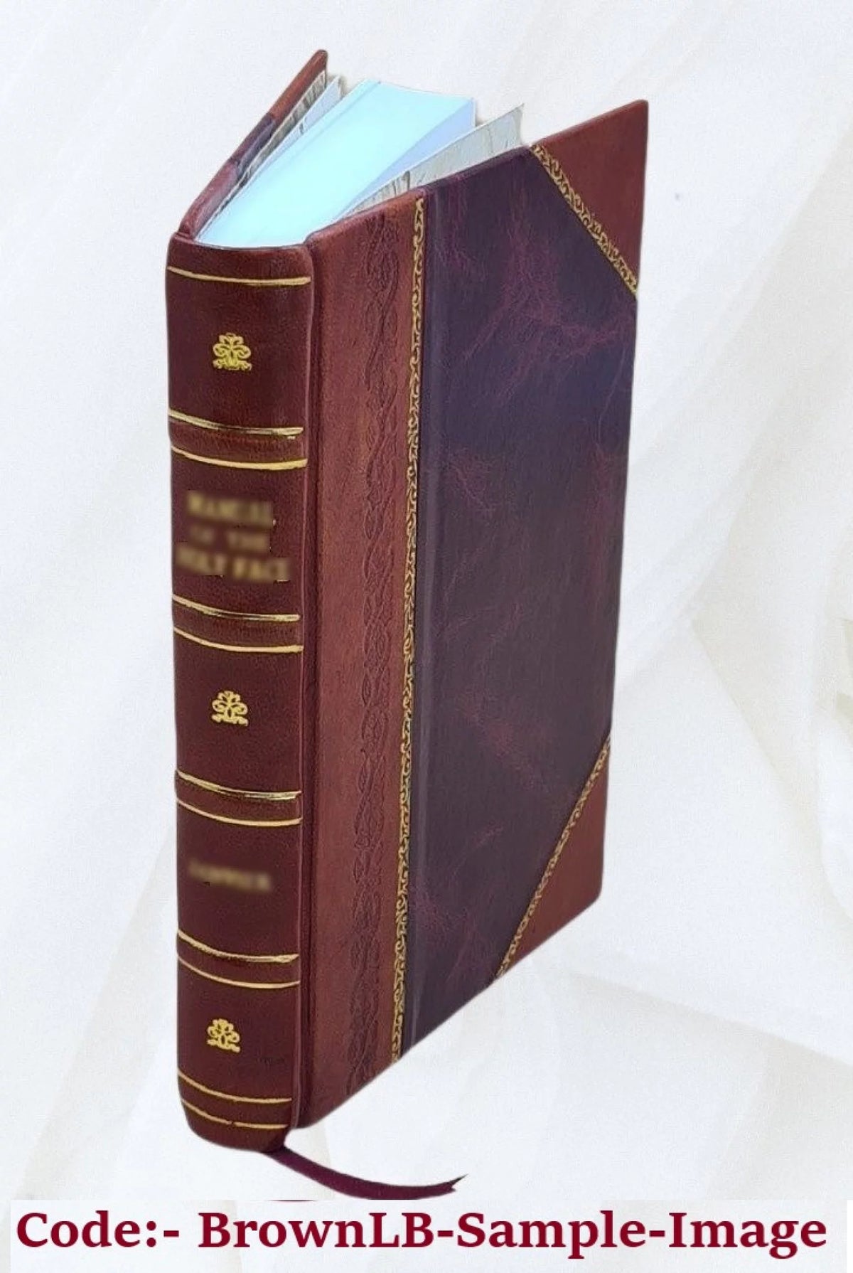 Leather Bound Book J6416