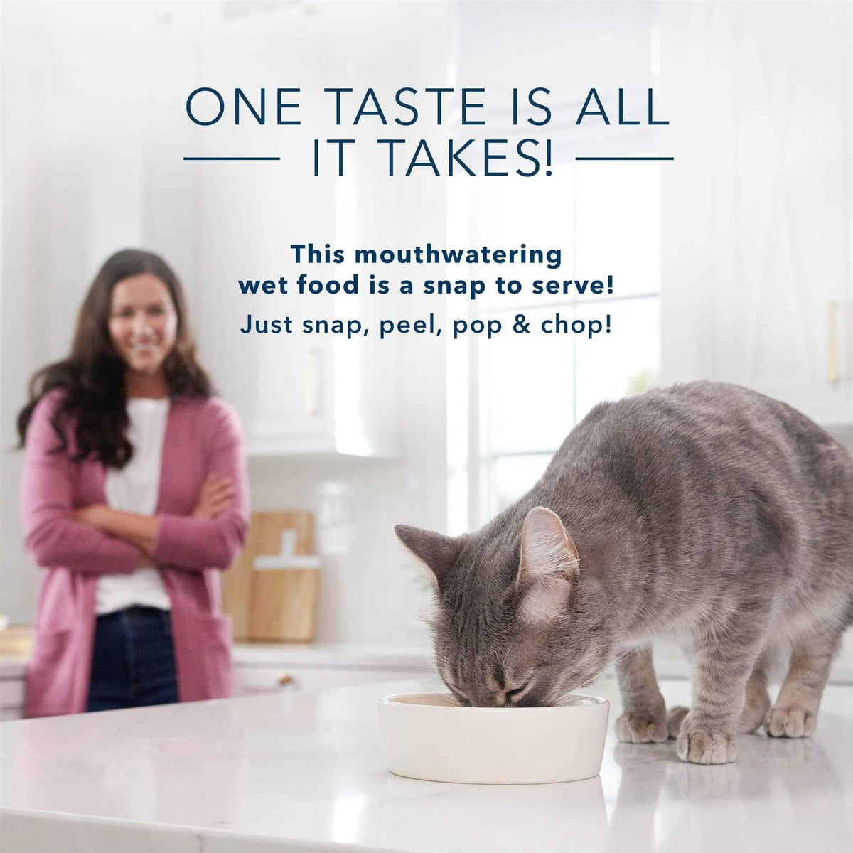 Adult Pate Wet Cat Food M9200