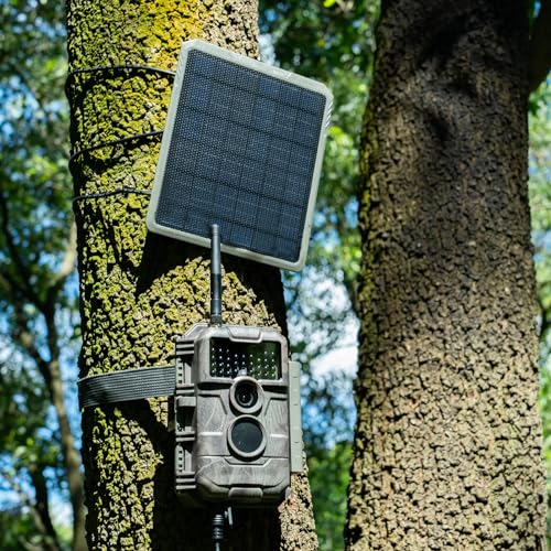 48MP 1296p Trail Camera with Night Vision Motion Activated H167