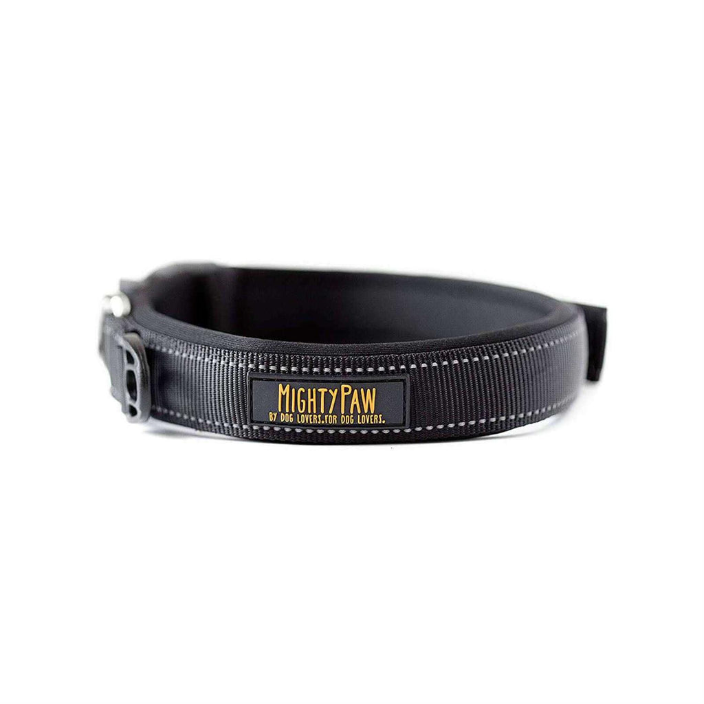 Dog Collar Y410366