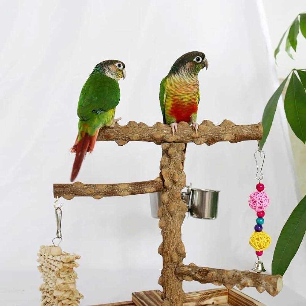 Wood Bird Perch Platform Stand Y2841