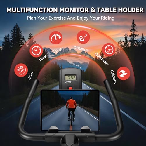 Whisper Quiet Indoor Stationary Exercise Bike G317