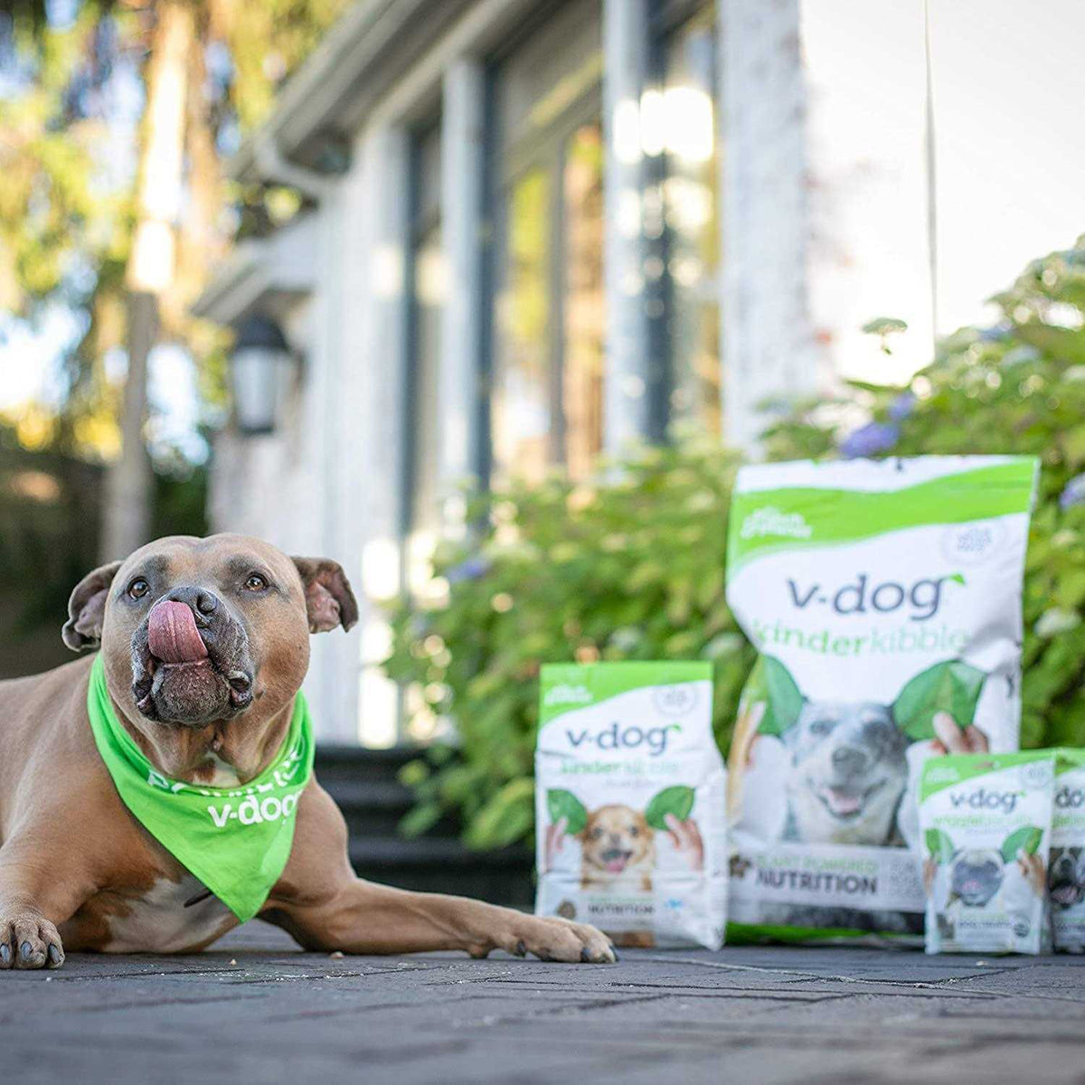 Vegan Dry Dog Food P687191
