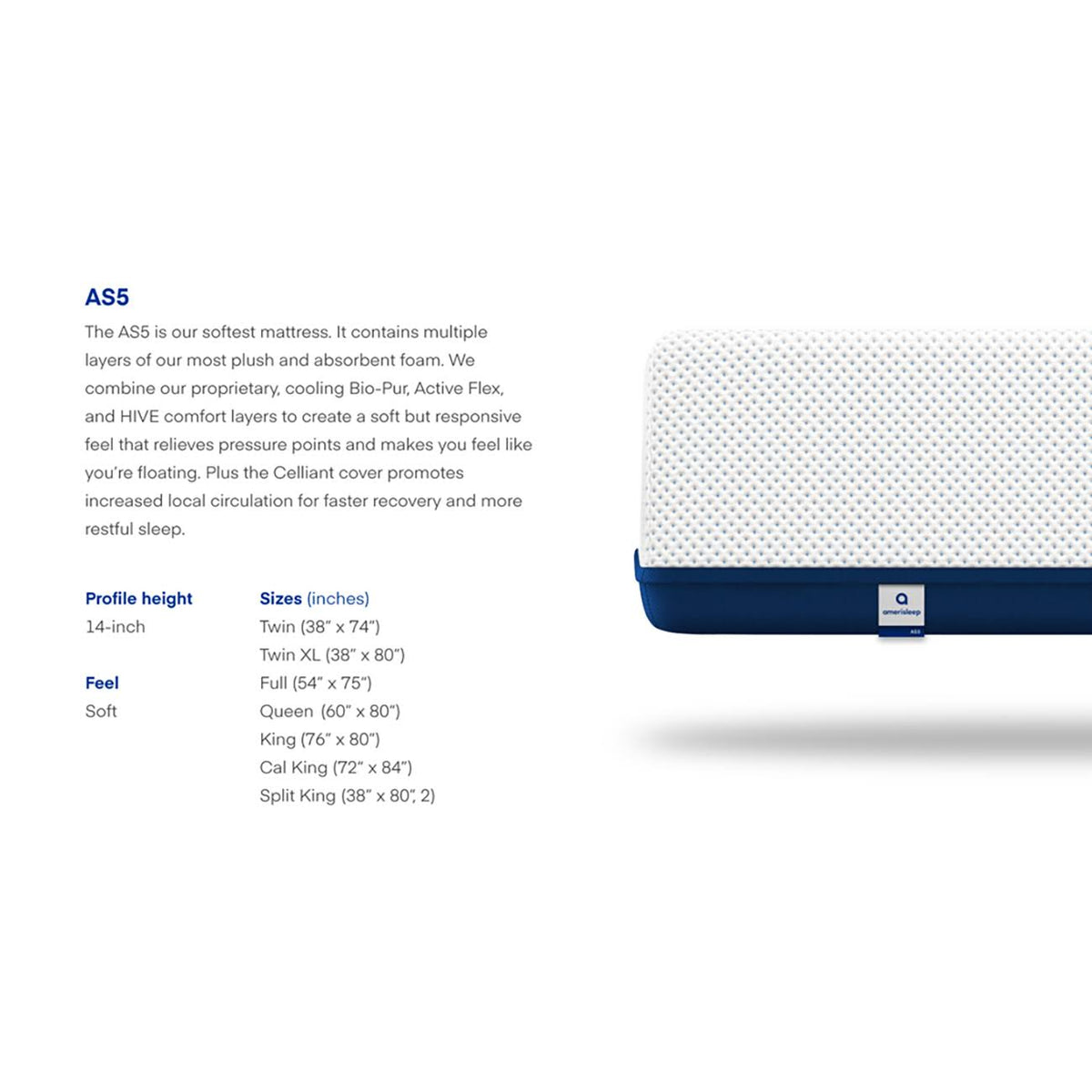 Queen Size Plush Foam Mattress B28305