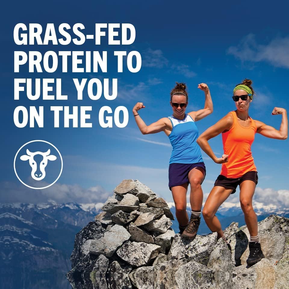 Organic Grass Fed Dairy Creamy Chocolate Whey Protein Shake, 14 Fl Oz (Pack of 12) X96891