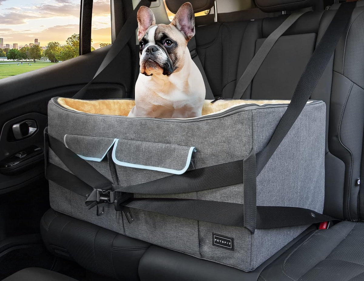 Large Dog Car Booster Seat with Safety Belt F569