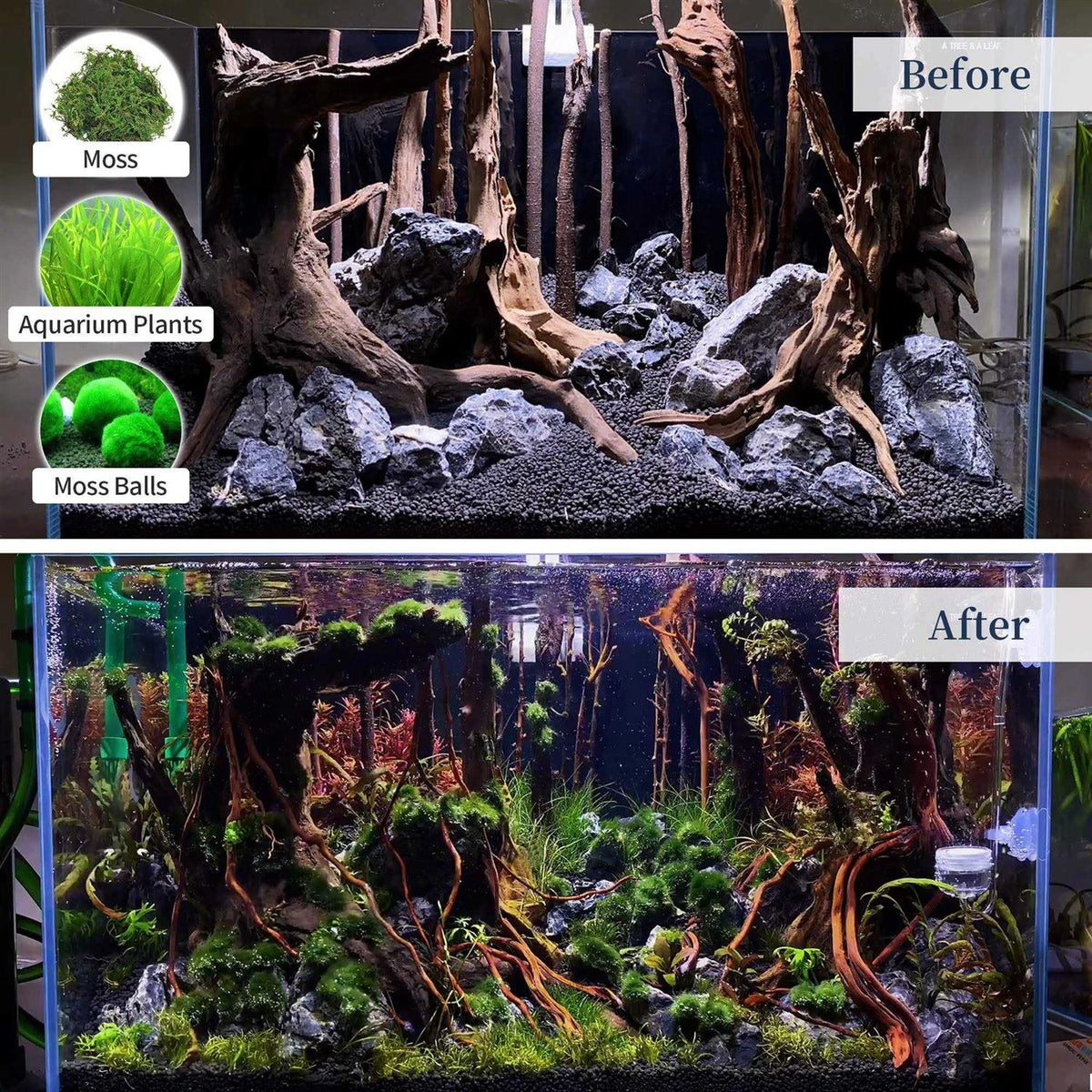 Natural Large Driftwood Aquarium Decor J2335