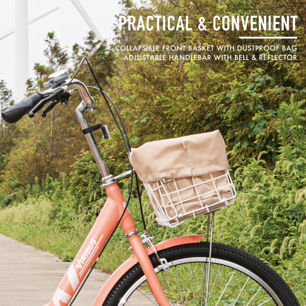 24 Inch Single Speed Adult Tricycle C117