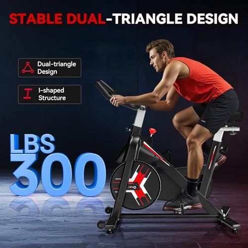 Whisper Quiet Indoor Stationary Exercise Bike G317