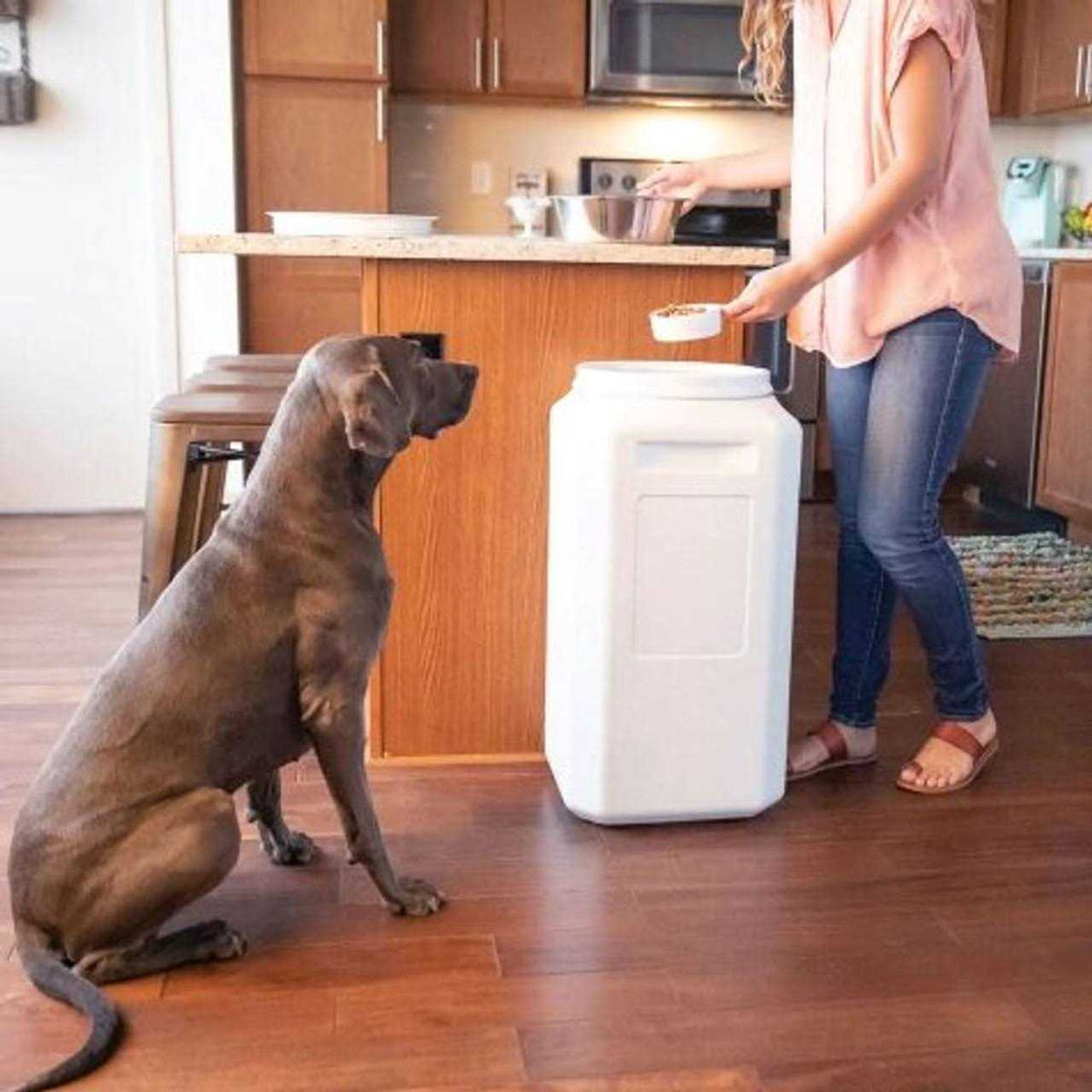 Pet Food Container W96708