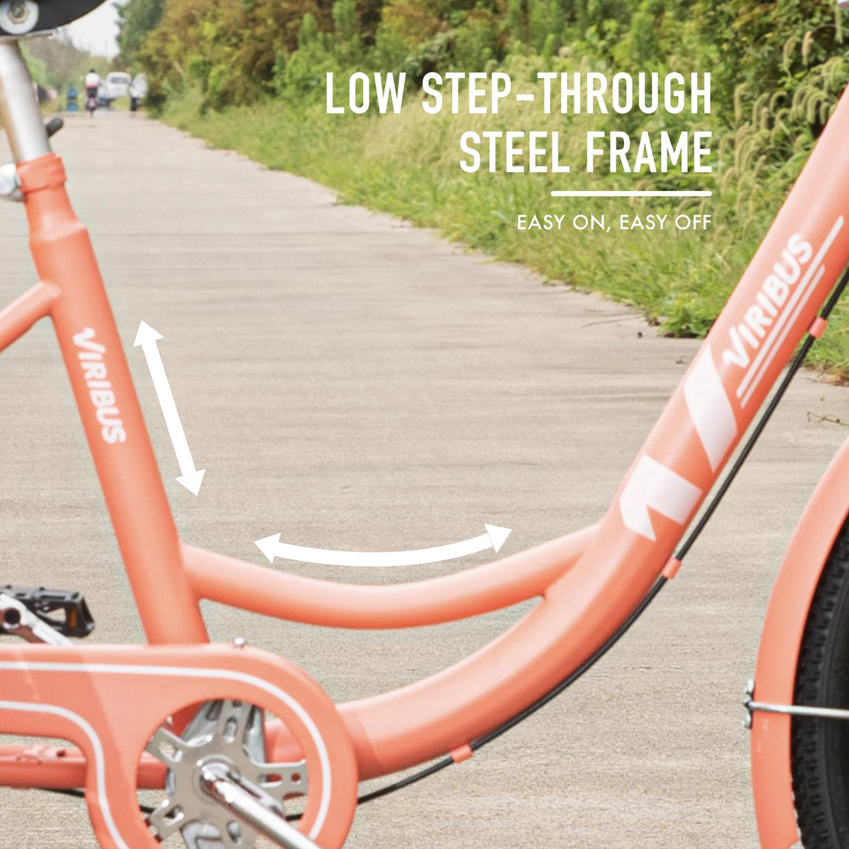 24 Inch Single Speed Adult Tricycle C117