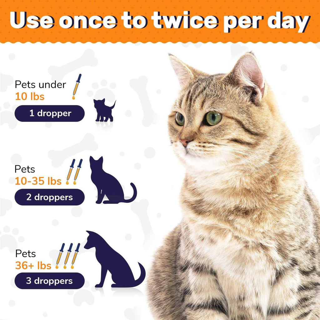 Probiotics for Dogs and Cats N25082