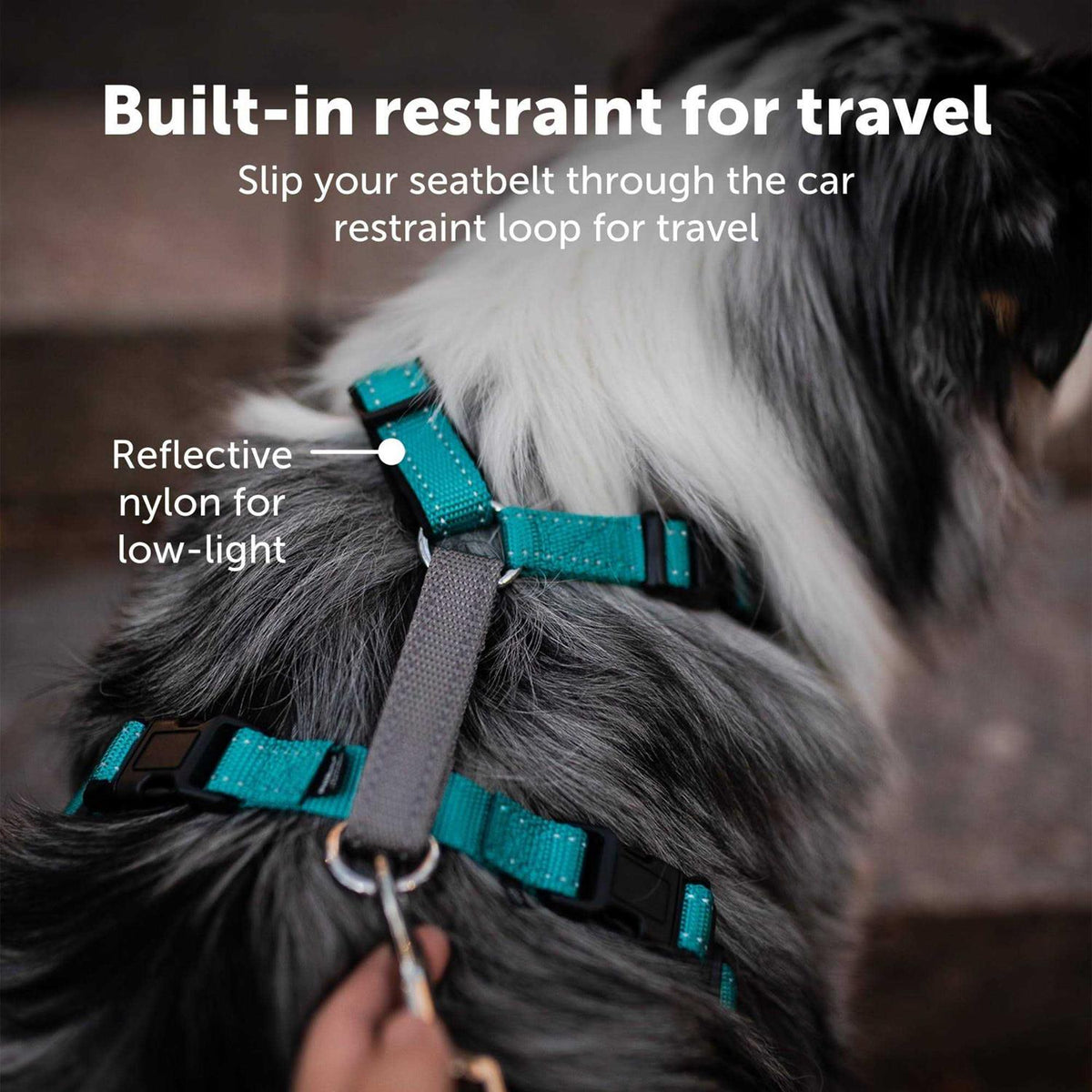 3 in 1 Harness J2099