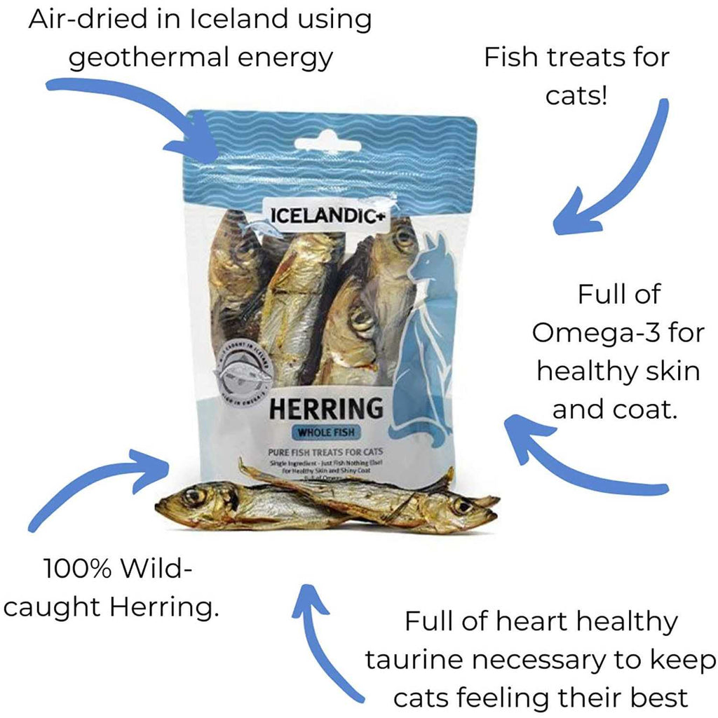 Whole Fish Cat Treats I37715