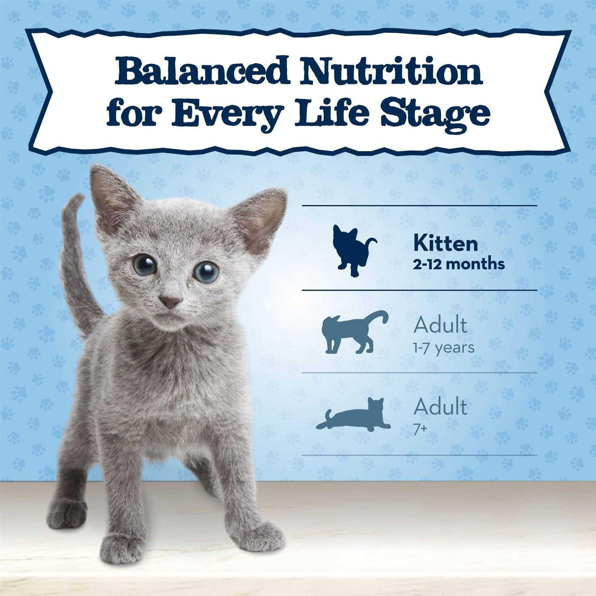 Wet Kitten Food B455102