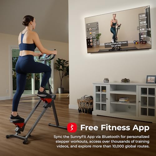 Stair Stepper with Handlebar Climber Machine C195