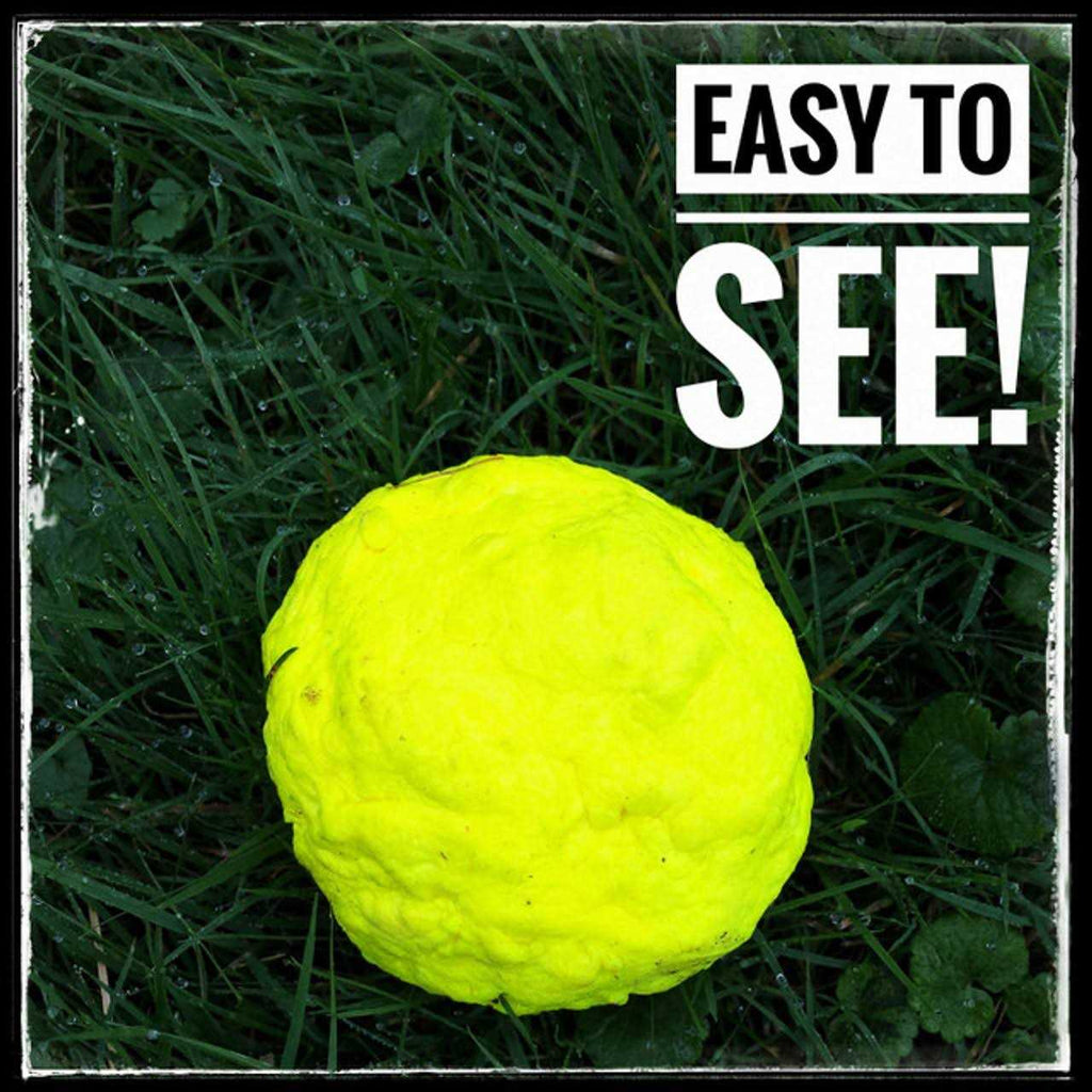 Dog Toy R702