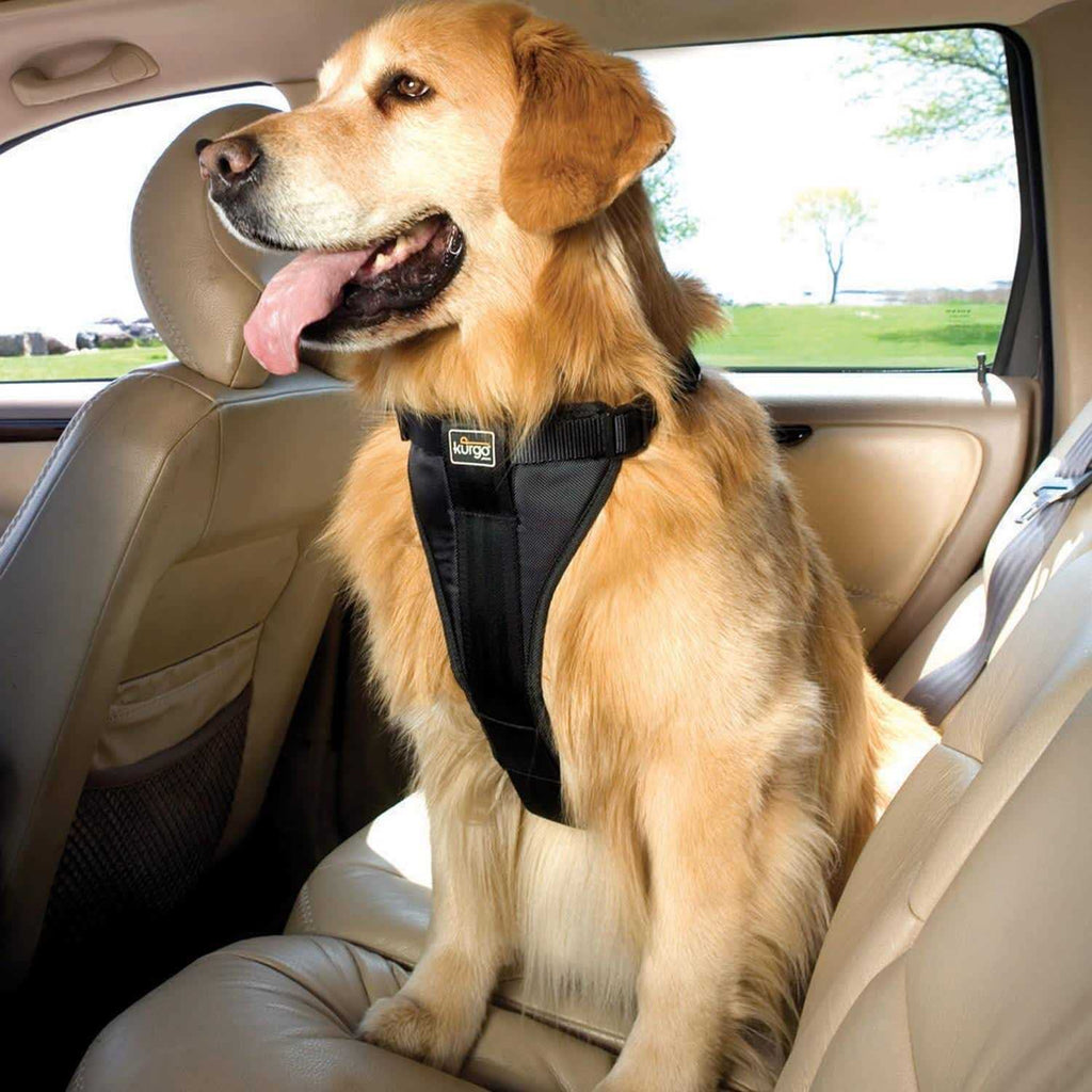 Pet Harness W20501