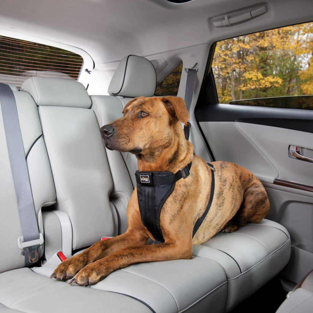 Pet Harness W20501