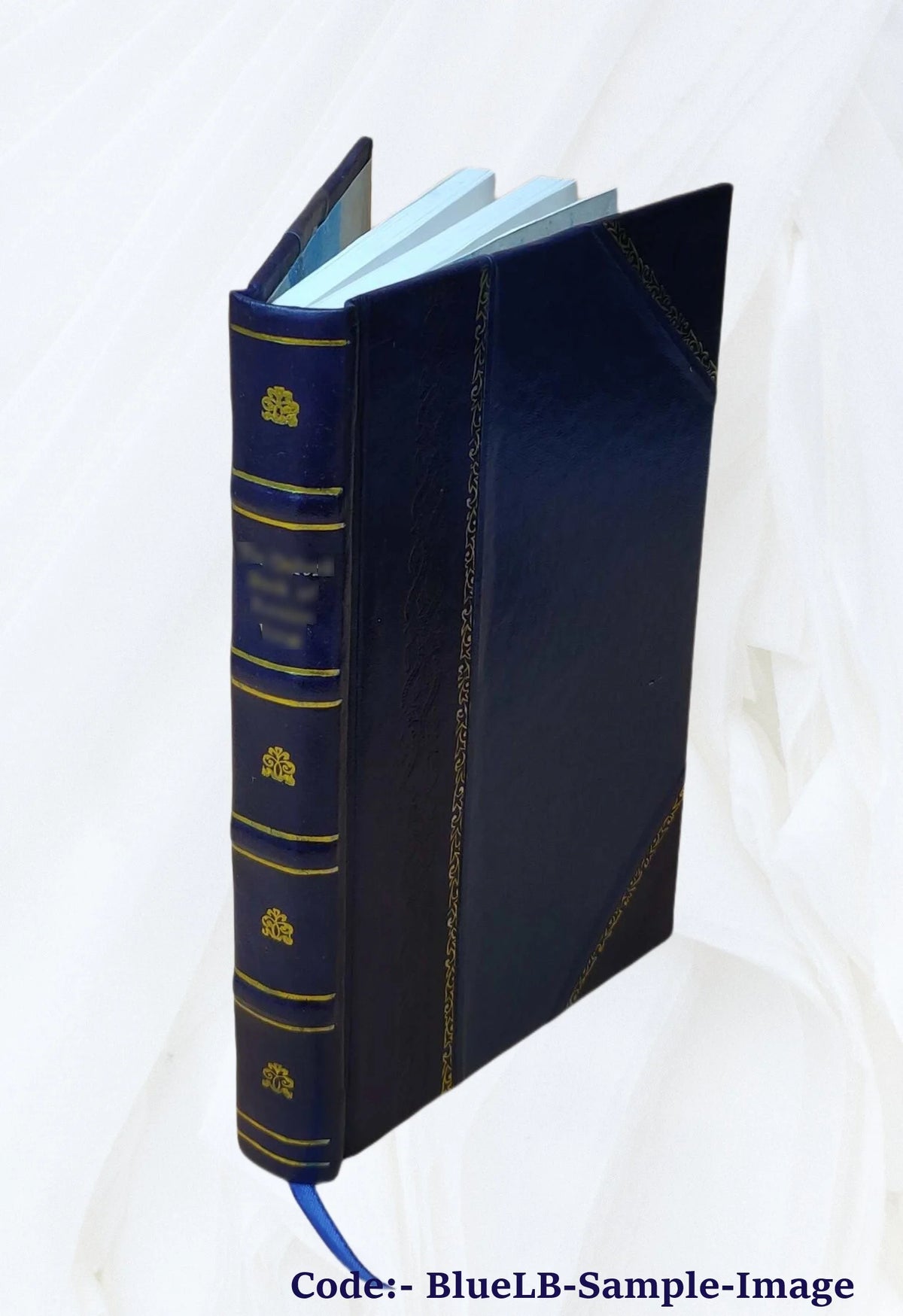 Leather Bound Book J447