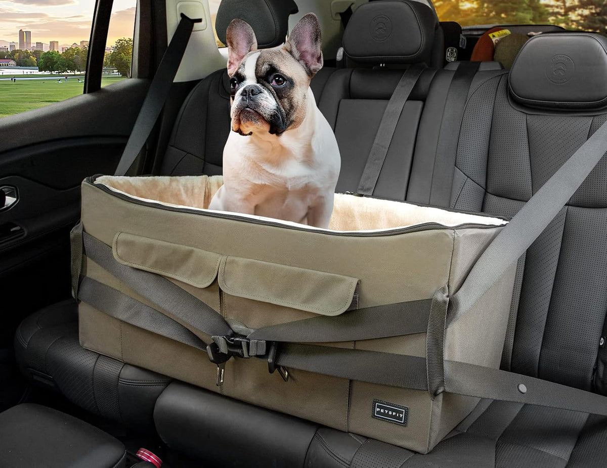 Large Dog Car Booster Seat with Safety Belt F569