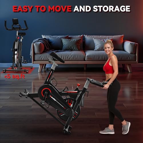 Whisper Quiet Indoor Stationary Exercise Bike G317