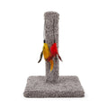 Cat Scratcher with Toys M63162