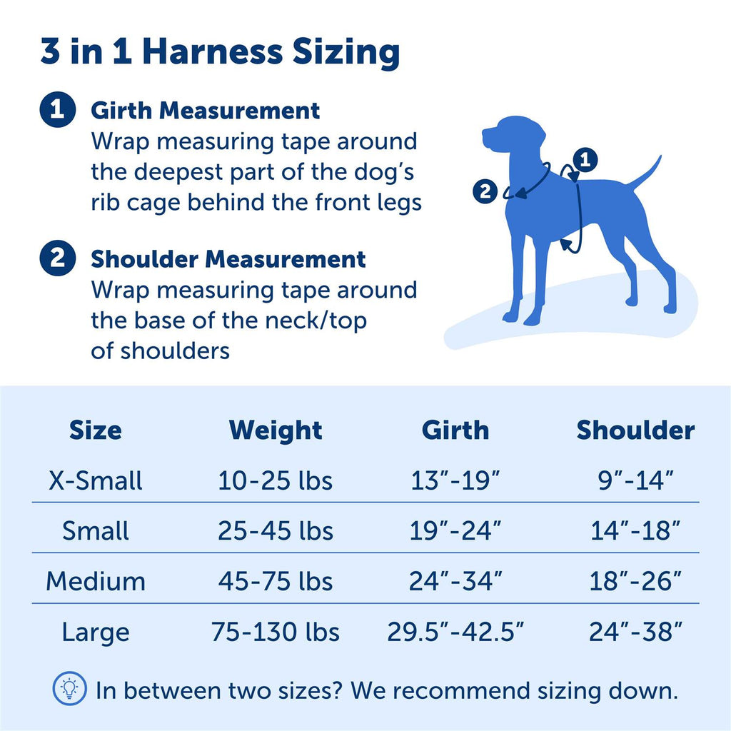 3 in 1 Harness J2099